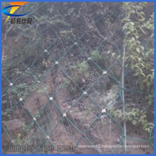 Professional Plastic Sns Slope Protection Mesh